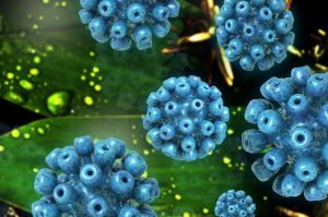 Hepatitis Virus - 3D Render